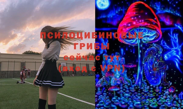 jwh Гусев