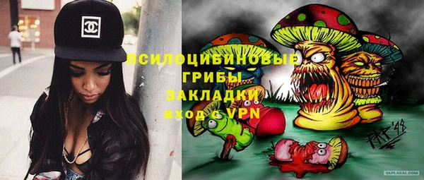 Альфа ПВП Абаза