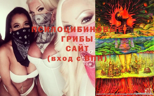 Альфа ПВП Абаза